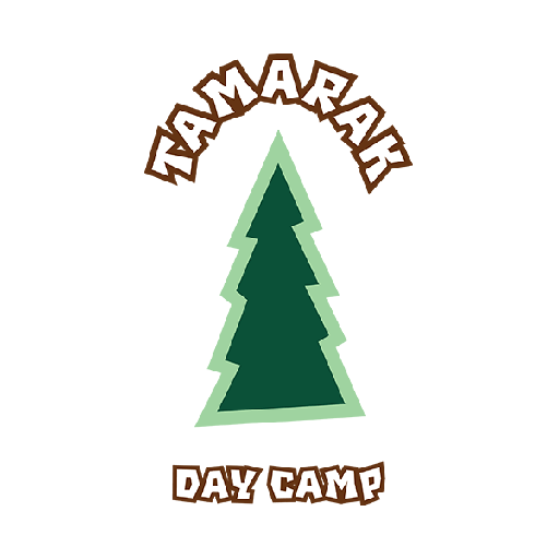 STEAM Robotics Workshop @ Tamarak Day Camp (2024-06-25)